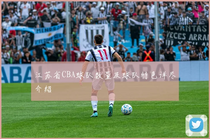 江苏省CBA球队数量及球队特色详尽介绍