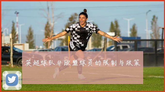 英超球队非欧盟球员的限制与政策