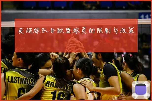 英超球队非欧盟球员的限制与政策
